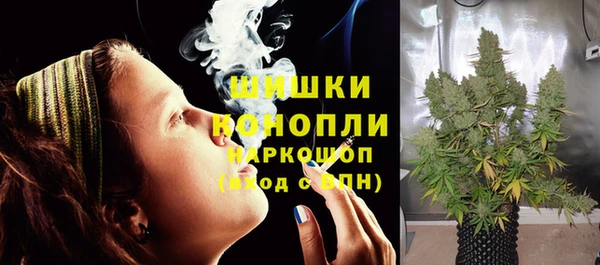 spice Заводоуковск