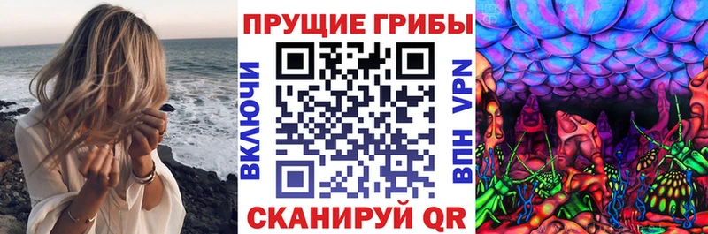 Псилоцибиновые грибы прущие грибы  Купить закладки  Задонск 